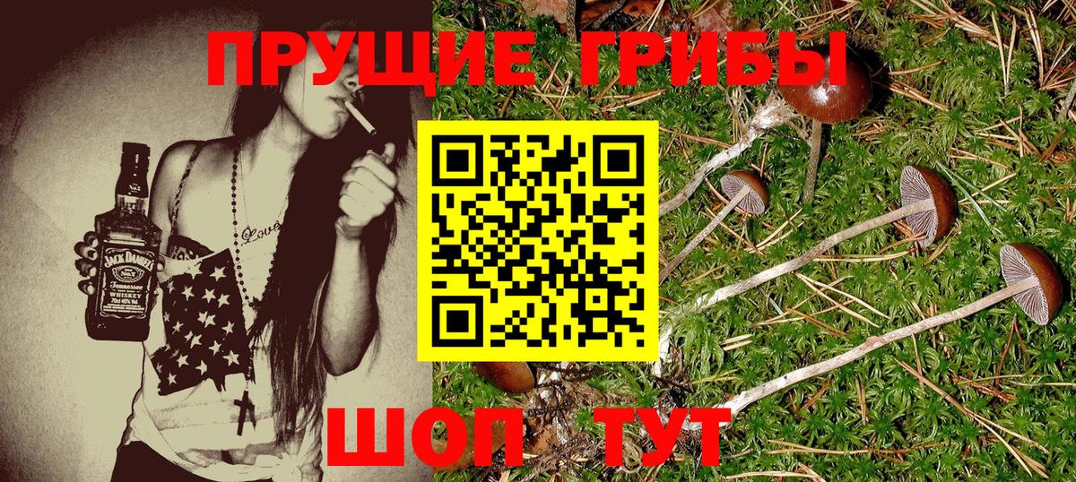 Галлюциногенные грибы ЛСД Вятские Поляны